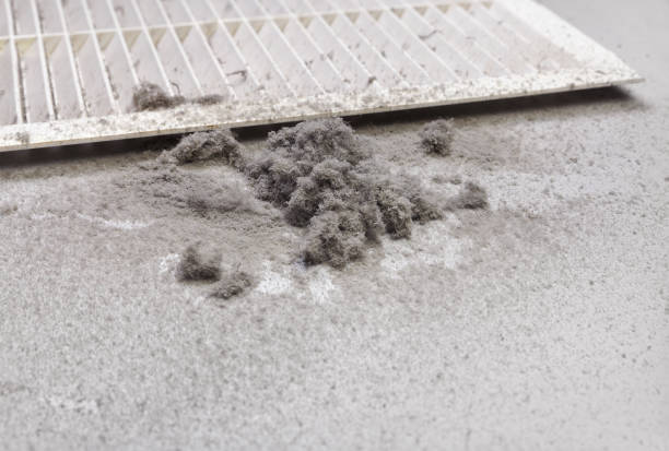 Best Residential Air Duct Cleaning  in Newton, NC