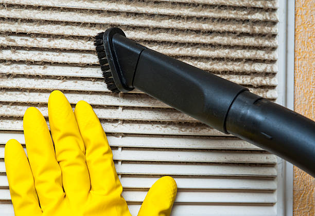 Best Local Air Duct Cleaning Services  in Newton, NC